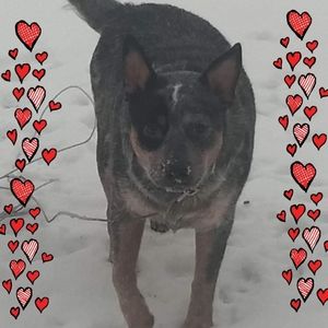 Meet your Posher, Alyse